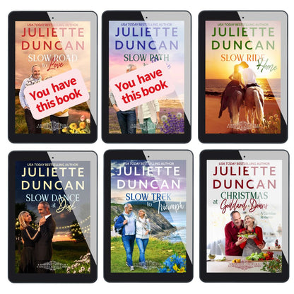 A Sunburned Land Series Books 3-6 ebook bundle